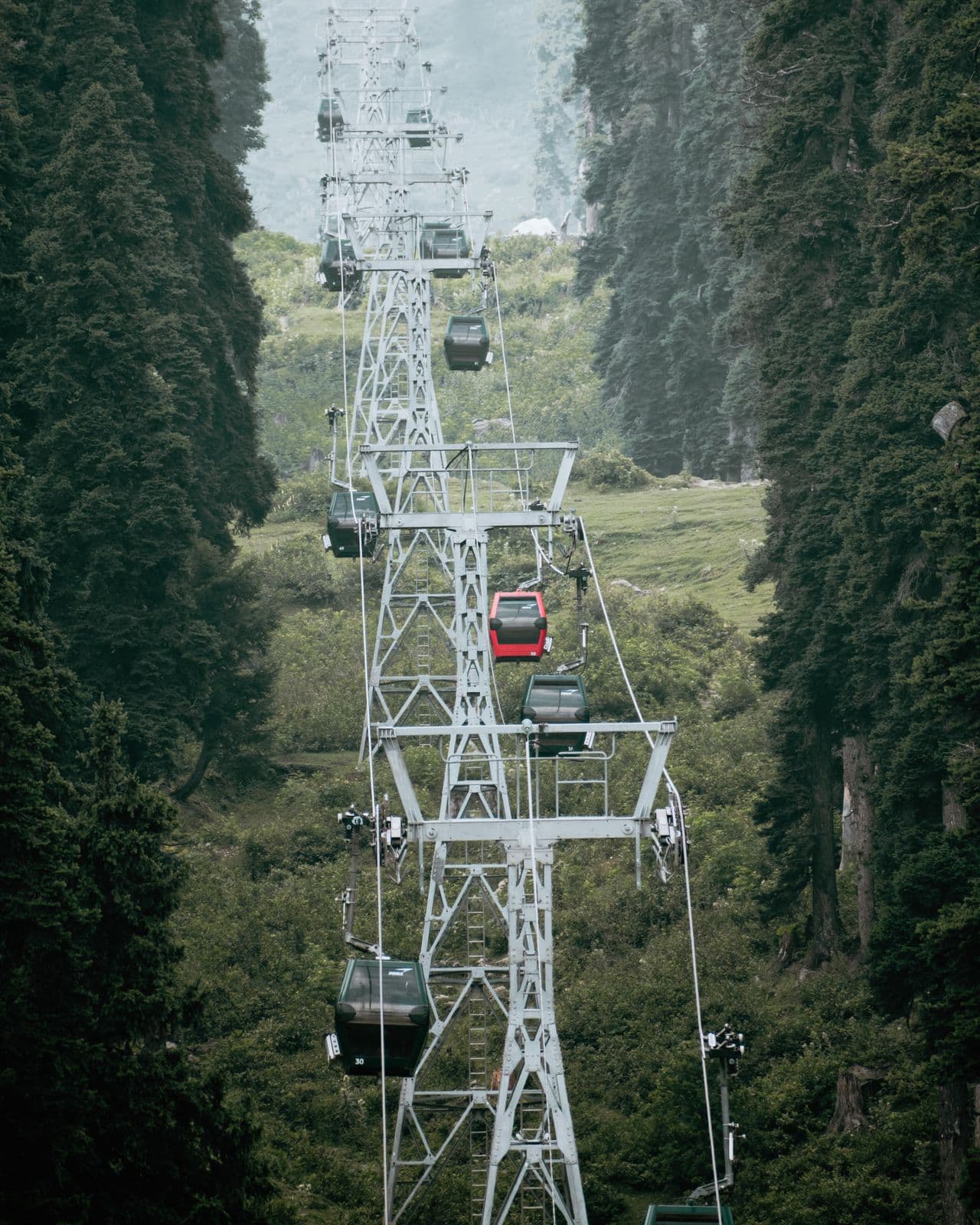 Gondola Ride
